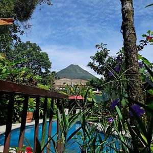 Hotel Arte Natura